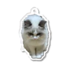 ぱわー!の飼い猫のグッズ4 Acrylic Key Chain