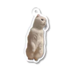 ソイねこもふもふのおこじょそい Acrylic Key Chain