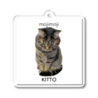 KITTOのもじもじ猫きっとWITHE アクリルキーホルダー