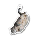 城の3月17日の落ちてる猫です Acrylic Key Chain