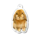 たれ耳うさぎのもこのたれ耳うさぎのもこちゃん Acrylic Key Chain