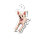 YJSのCHIHUANX アクリル Acrylic Key Chain