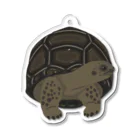 カメの歩みのアルダブラゾウガメ Acrylic Key Chain