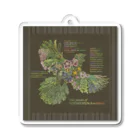 雁花工房（寄付アイテム販売中です）のWild plants of HOTOKENUMA-wetlands（背景ダークグレー） Acrylic Key Chain