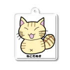 ねこねこにゃんこのねこだぬき（ASUKA） アクリルキーホルダー