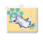 向井利元のじゃれ猫　カラフル Acrylic Key Chain