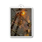 ラムフォトのNovember rain Acrylic Key Chain