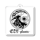 🏠meerkatのいる暮らし🏠のE&Y～plants～  𝒩𝑜.1 Acrylic Key Chain