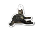 ちびまる一族の乱の猛獣おまるぴぴ Acrylic Key Chain