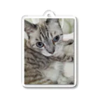 ねこの森でお散歩のフッワフワのシャムミックス Acrylic Key Chain