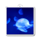 Renaのクラゲ　Jellyfish アクリルキーホルダー