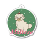 Hinanochin.shopのa maltese Acrylic Key Chain