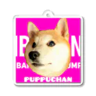 IBADANのぷっぷちゃんキーフォルダーでしゅ Acrylic Key Chain