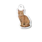 モルモットのミマモル隊のチャトラン🐱 Acrylic Key Chain