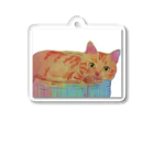 保護猫茶トラ兄弟LIFEのインコちゃん Acrylic Key Chain