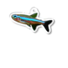 Aquarium Kindのグリーンネオンテトラ Acrylic Key Chain