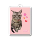 harupink🌸ペット似顔絵illustのアメショのアカリちゃん(REALver) Acrylic Key Chain