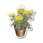 植物の絵師「洋子」の店の鉢植えの菊 Acrylic Key Chain