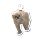 犬、キアヌの風にも負けない犬 Acrylic Key Chain