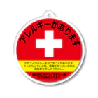 epimochiのアレルギーがあります Acrylic Key Chain