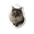 ドッポちゃんの可愛いモフ猫 Acrylic Key Chain