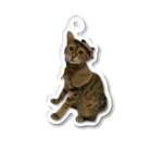 すず&ハクうちの猫グッズのすず Acrylic Key Chain