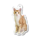 保護ねこの家のいつものラテ王子by黒豆猫 Acrylic Key Chain