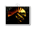 SENNOSUZUのgold mine Acrylic Key Chain