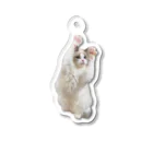のん。-猫のいる暮らし-のぴょんぴょんのんちゃんうさぎ Acrylic Key Chain