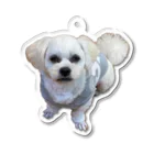 ソラプーのイケメン犬 Acrylic Key Chain