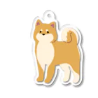 Kotetsu diary(SUZURI店)のゆるゆる柴犬 Acrylic Key Chain