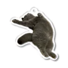 むっちり猫のむっちり丸のお腹ぽっこりむっちり丸 Acrylic Key Chain