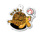 ぶろっこのヒョウモンリクガメくん（弾4弾） Acrylic Key Chain