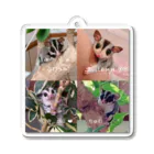 モモンガのしっぽの4 Sugar gliders! Acrylic Key Chain