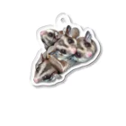 モモンガのしっぽの4 Sugar gliders! ver.3 Acrylic Key Chain