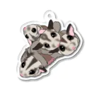 モモンガのしっぽの4 Sugar gliders! ver.4 Acrylic Key Chain