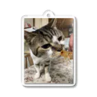 ゆの猫 Acrylic Key Chain