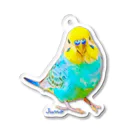 ジュノの秘密のアトリエのセキセイインコ／Juno Acrylic Key Chain