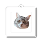 momotenn.shopのうちのねこ Acrylic Key Chain