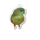 crawling0chaosのサザナミインコのルリくん（だるま） Acrylic Key Chain