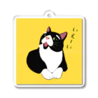 穏やかな猫の穏やかな猫 Acrylic Key Chain