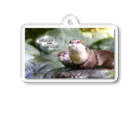 Ａｔｙショップの[Otter Life Day 770]サムネイル Acrylic Key Chain