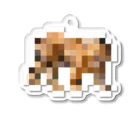 PITTEN PRODUCTSのPIXEL_ANIMAL_05(TIGER) アクリルキーホルダー