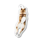 muzuneeのshibaholmes 柴犬ホームズ3 Acrylic Key Chain