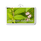  #satisfyingのコムラサキ　Callicarpa dichotoma Acrylic Key Chain