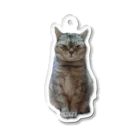 参@Silvapp応援垢の猫といっしょ 〜ちょんた〜 Acrylic Key Chain