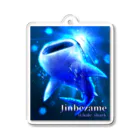 ヨワタリJAWSのジンベエザメ【サメアイテムシリーズ】 アクリルキーホルダー