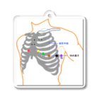 ゆんちるの12誘導心電図電極装着部位アクスタ！ アクリルキーホルダー
