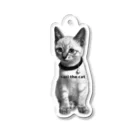 sari the catのsari the cat Vol.2 Acrylic Key Chain