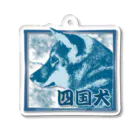 【モルモット】Mugi & Ruki【四国犬】の天然記念物 四国犬ちゃん ─Japanese natural treasure Shikoku dog ─ Acrylic Key Chain